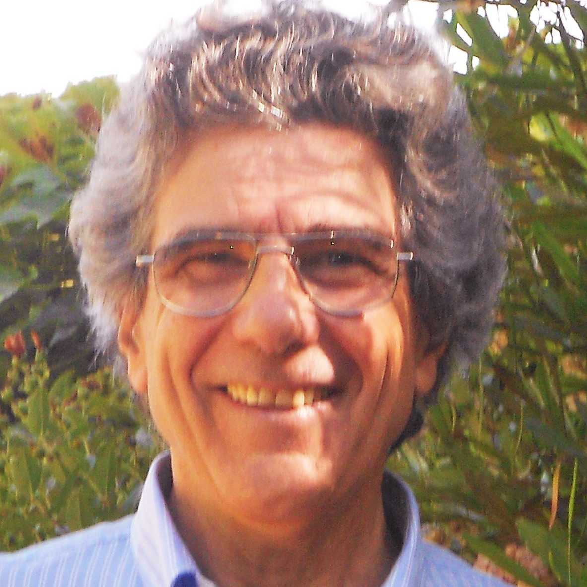 Máximo Coll